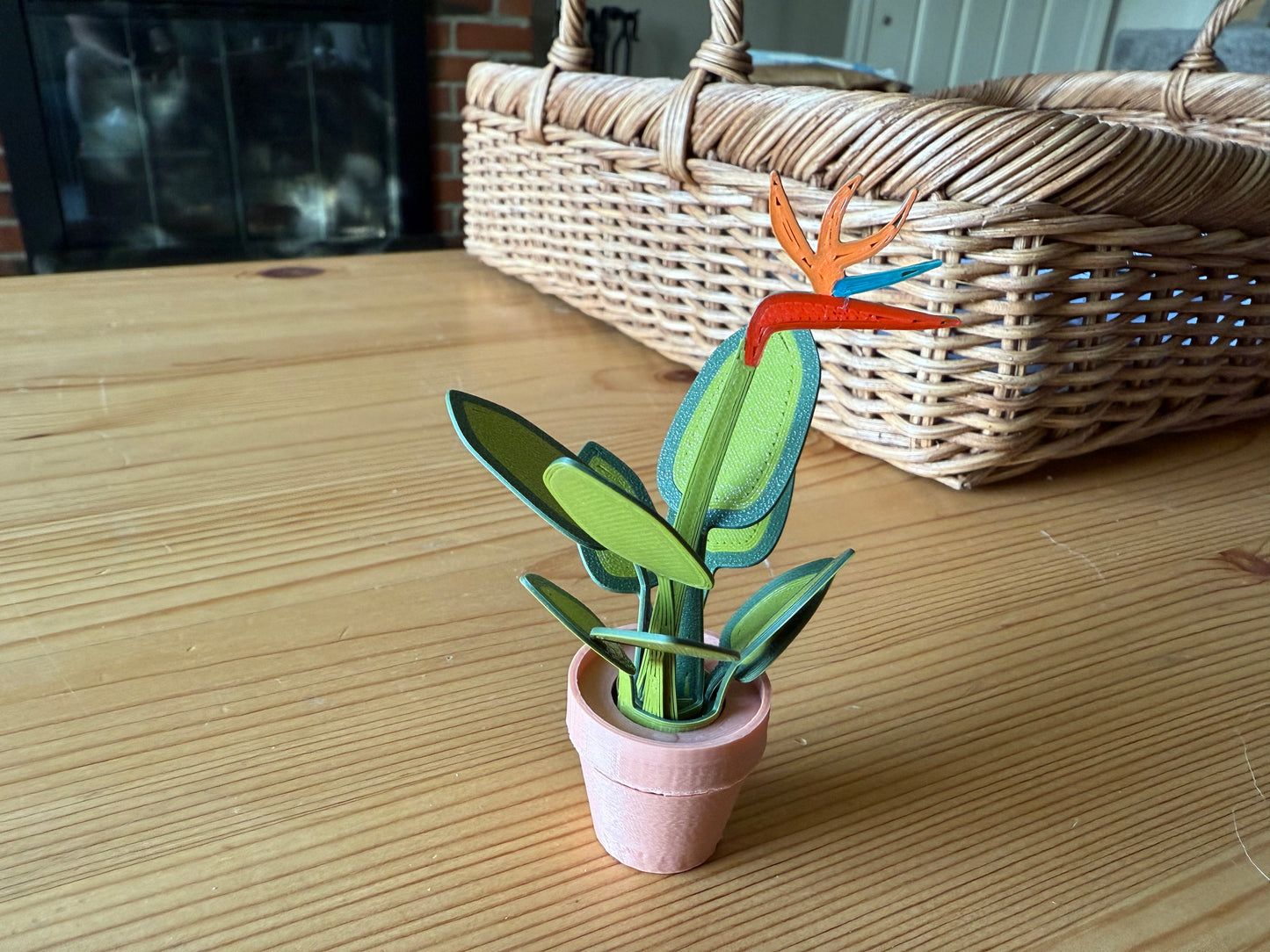 Bird of Paradise Fidget Foliage