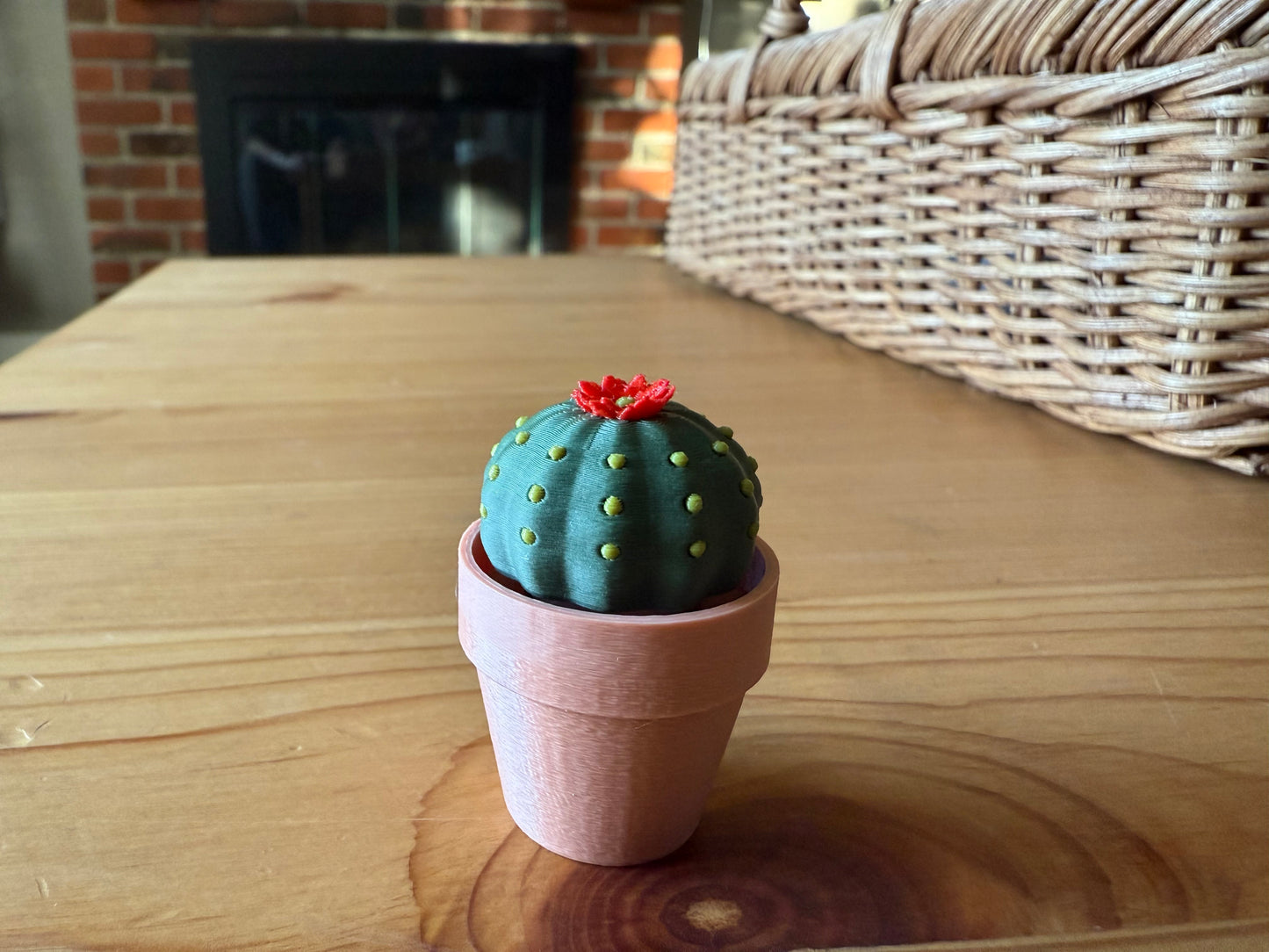 Clicky Ball Cactus