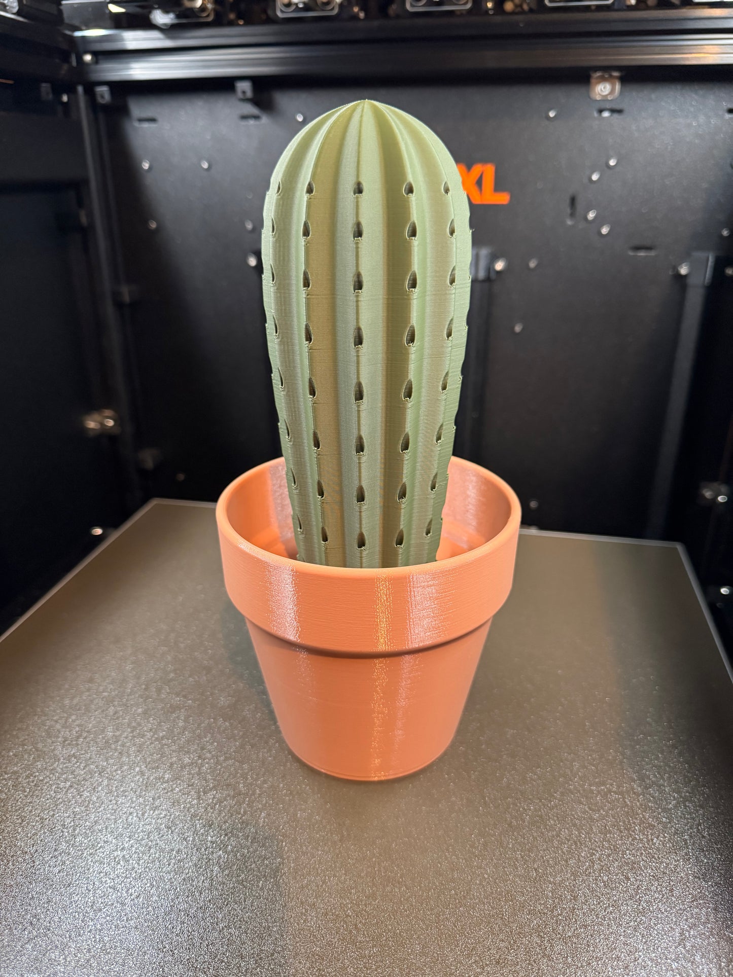Cactus Toothpick Holder