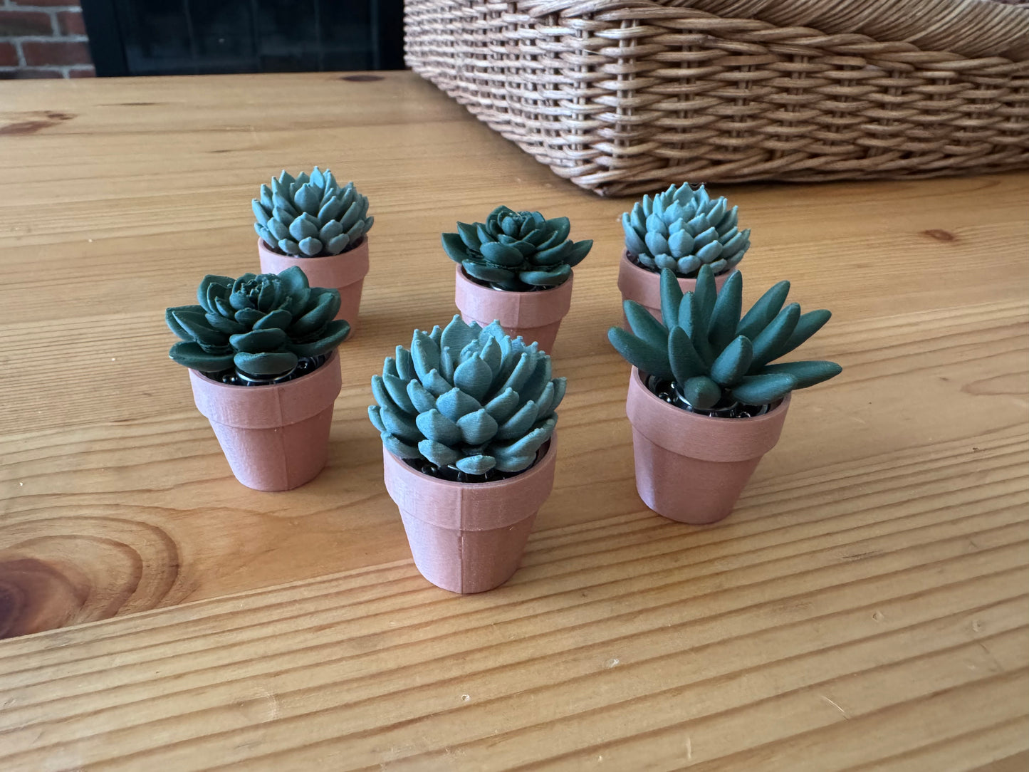 Spinny Succulents Set