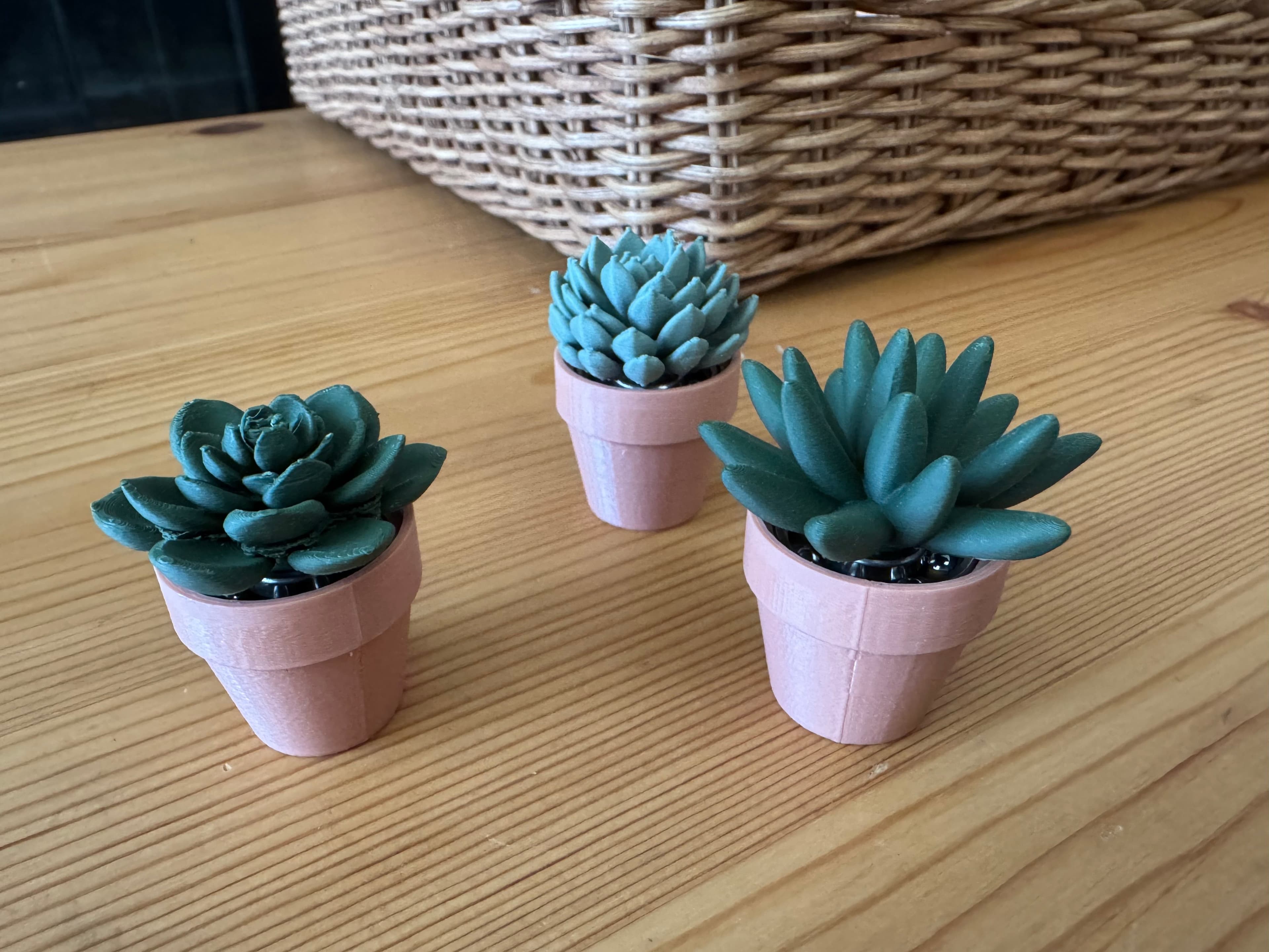 Spinny Succulents Set