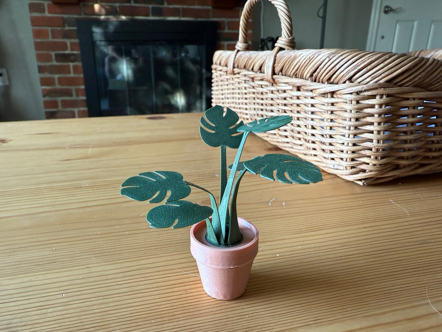 Monstera Fidget Foliage