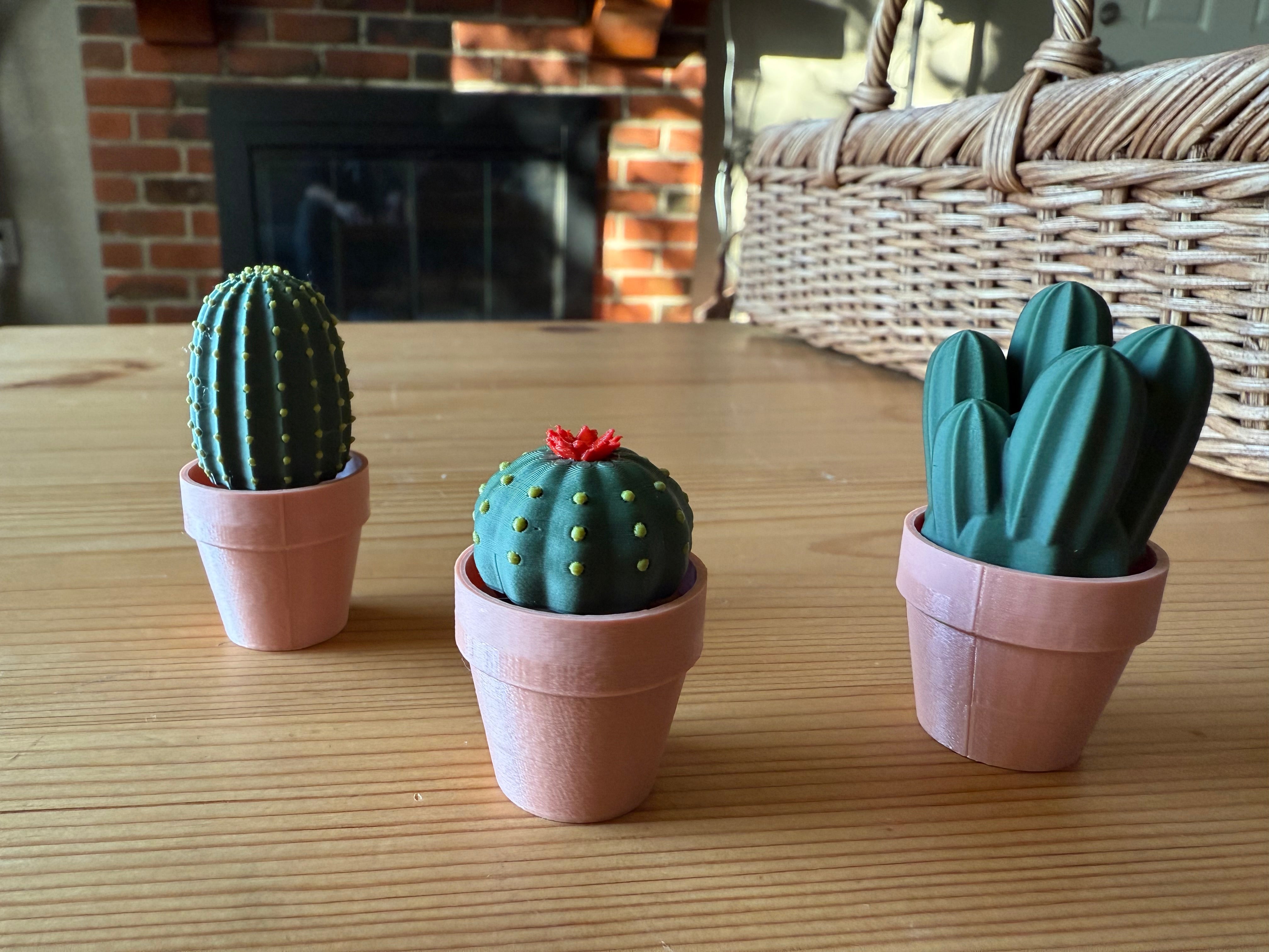 Clicky Cacti Set – 3D Nick Knacks