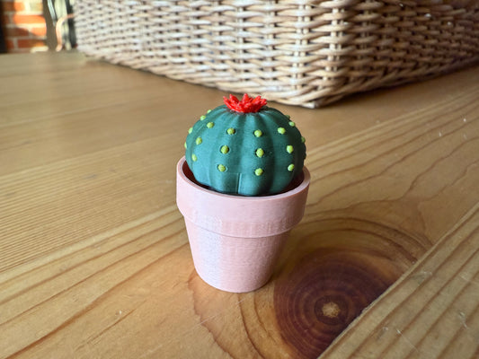 Clicky Ball Cactus