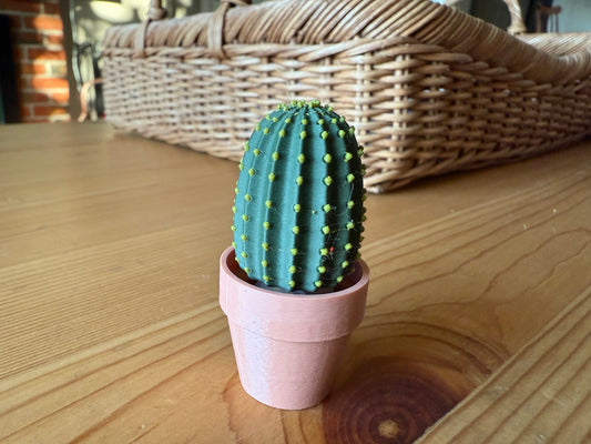 Clicky Torch Cactus