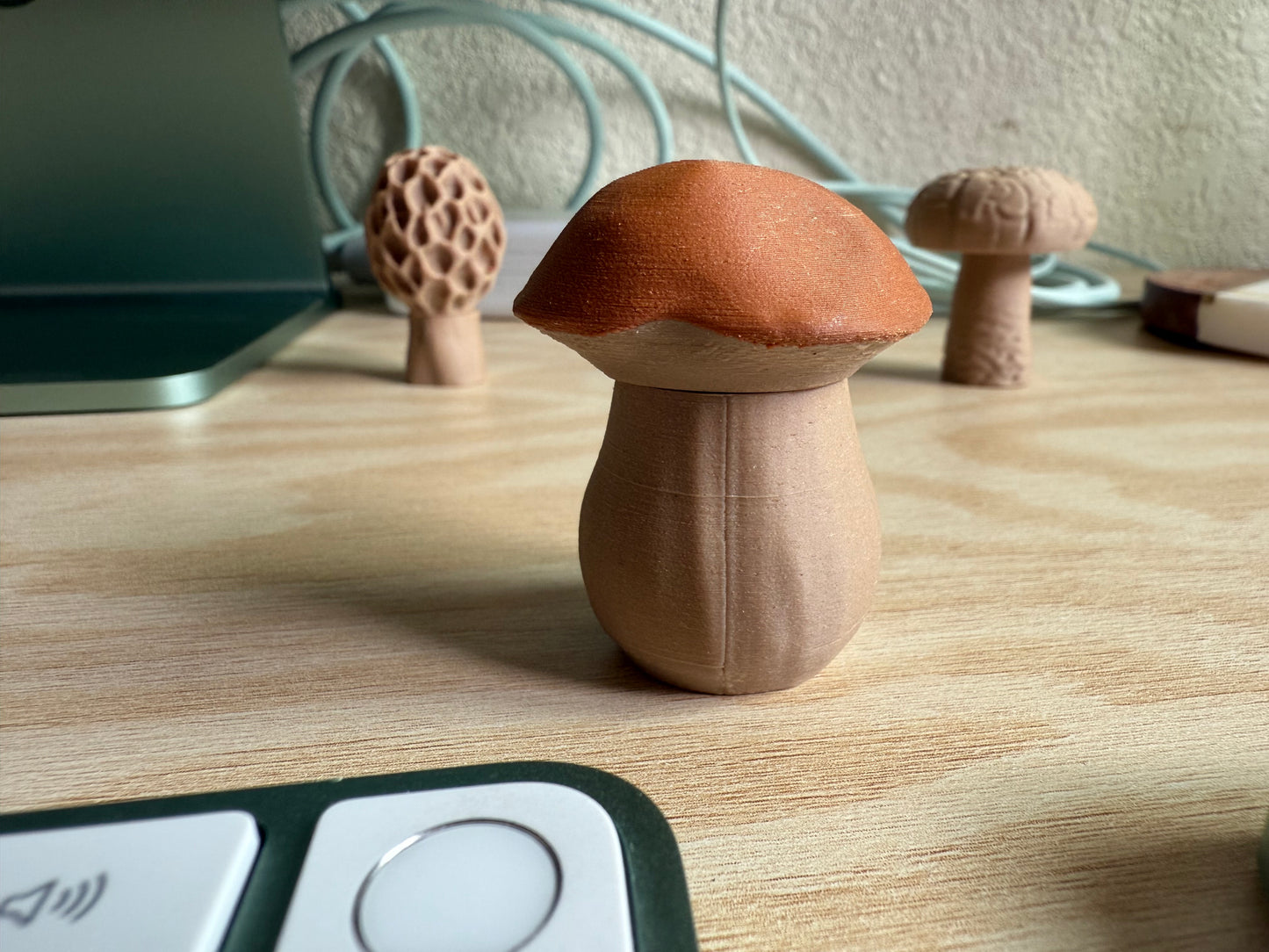 Magnetic Mushrooms Set