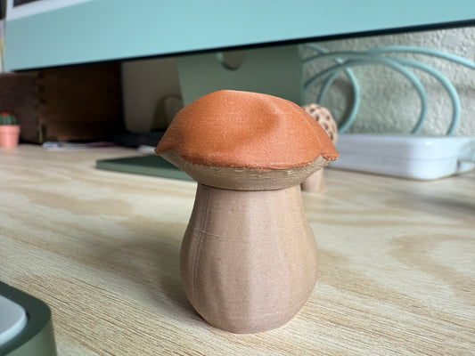 Penny Bun Magnetic Mushroom