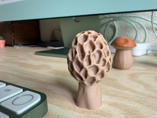 Morel Magnetic Mushroom