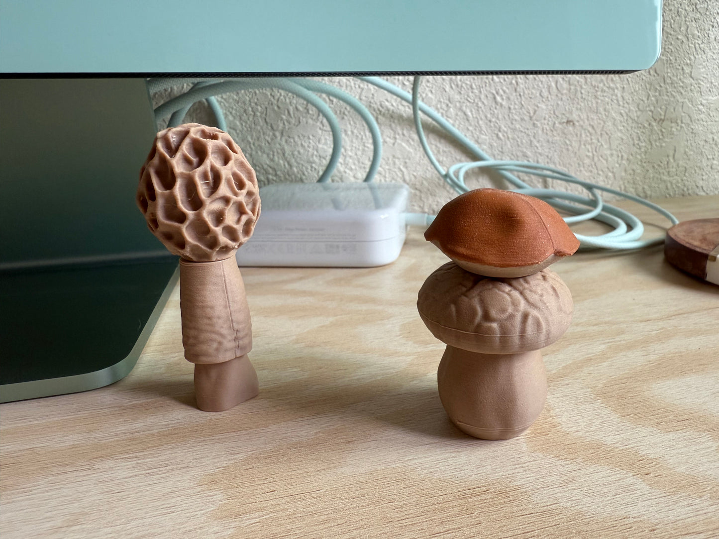 Magnetic Mushrooms Set