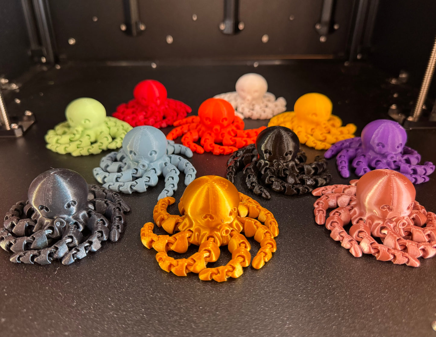 Cute Mini Octopus