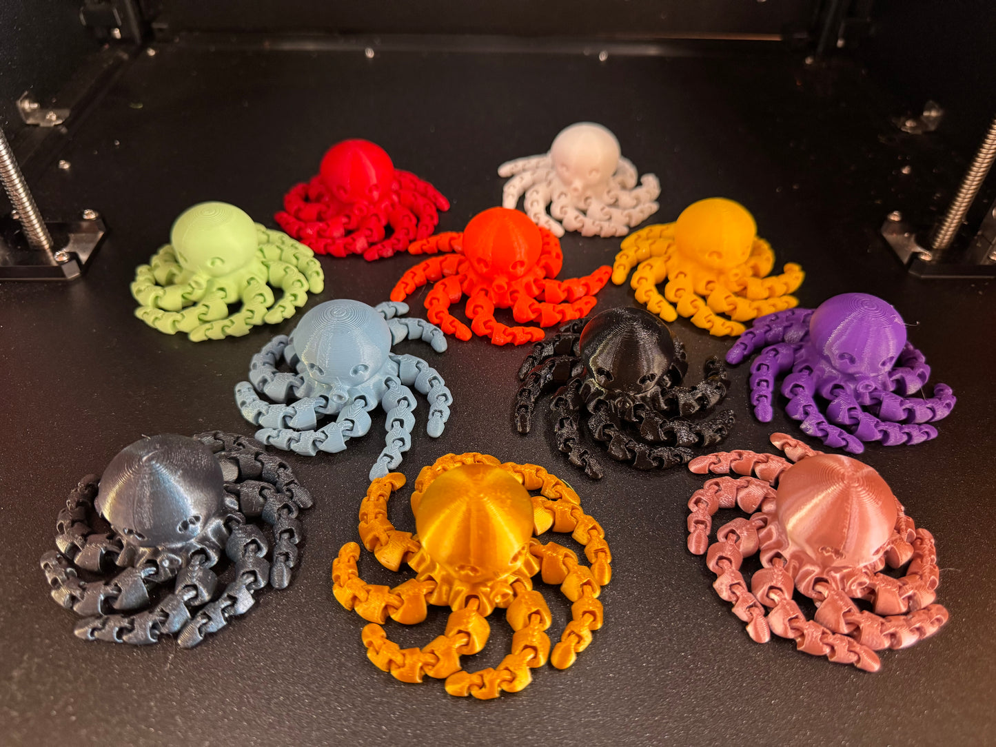 Cute Mini Octopus