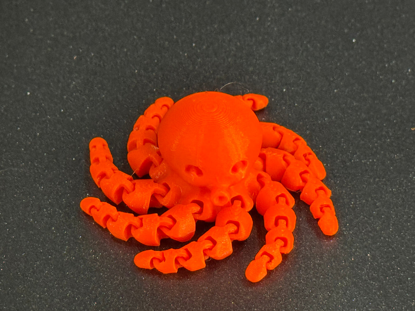 Cute Mini Octopus
