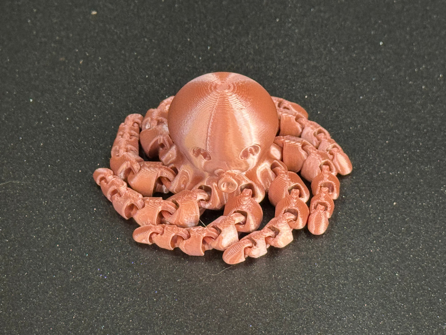 Cute Mini Octopus