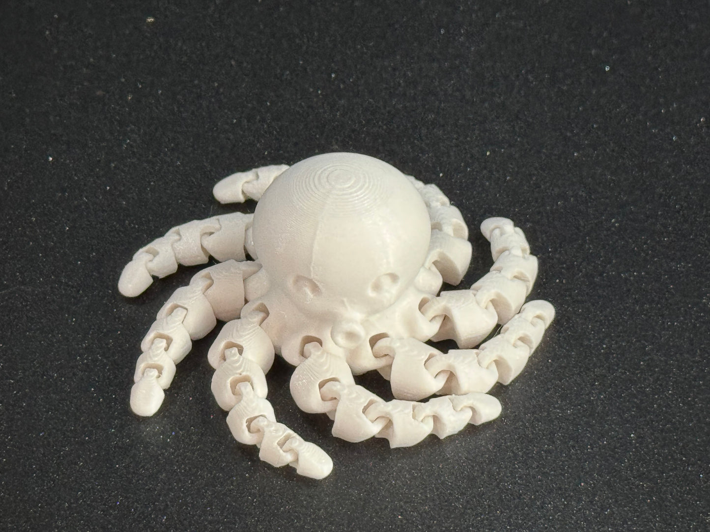 Cute Mini Octopus