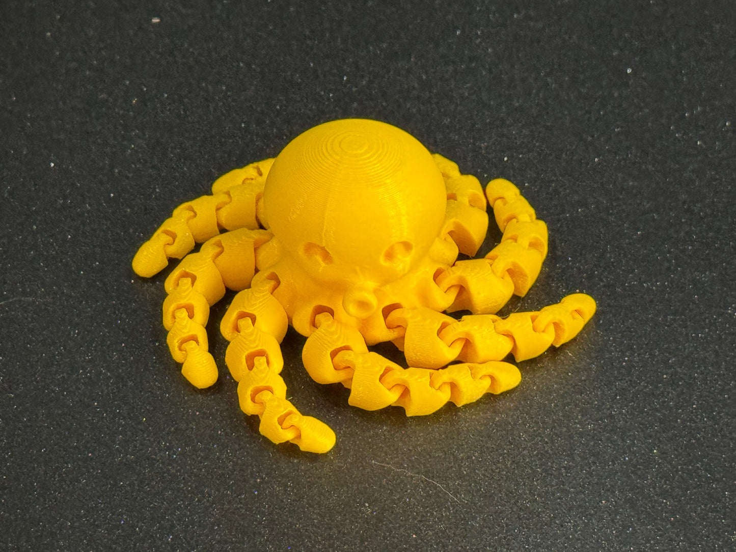 Cute Mini Octopus