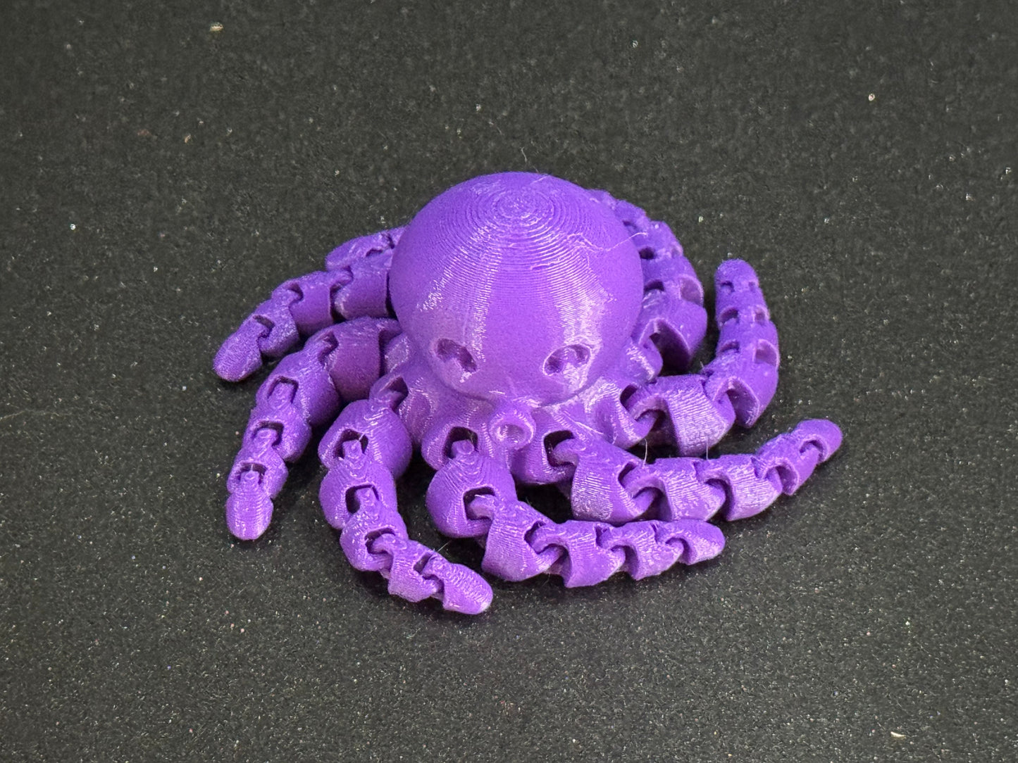 Cute Mini Octopus