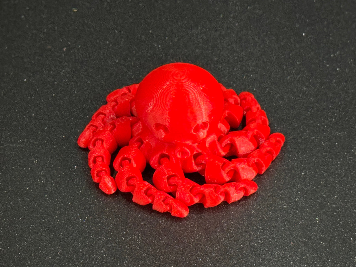 Cute Mini Octopus
