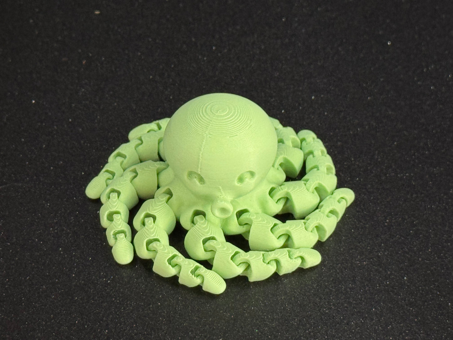 Cute Mini Octopus