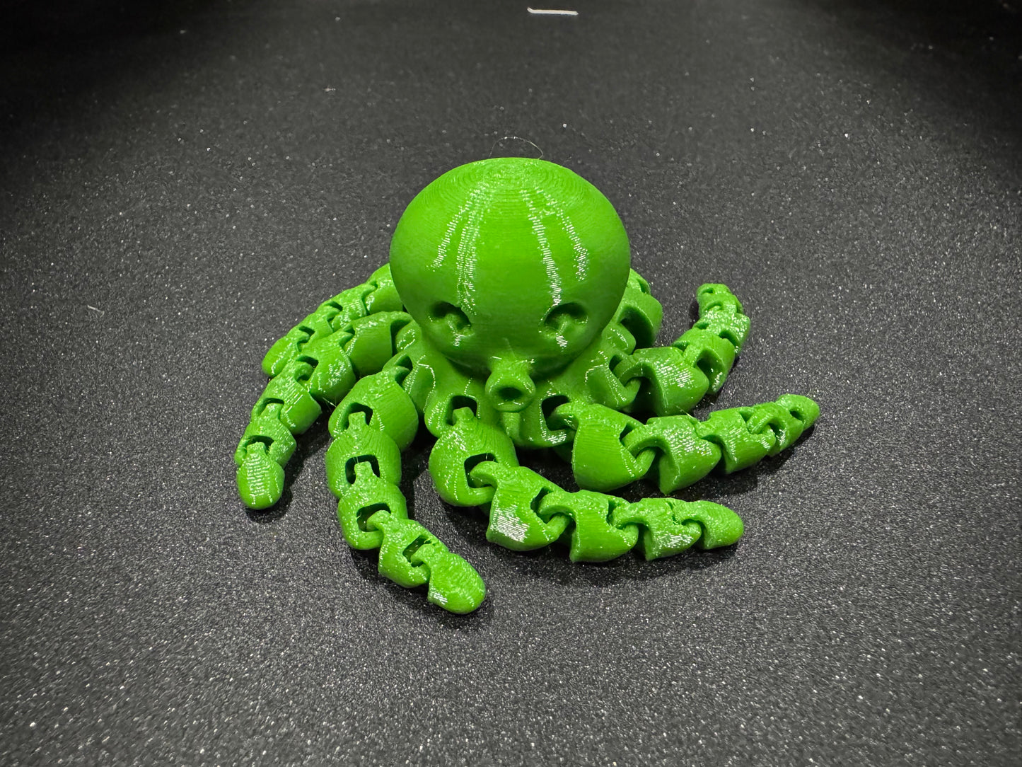 Cute Mini Octopus