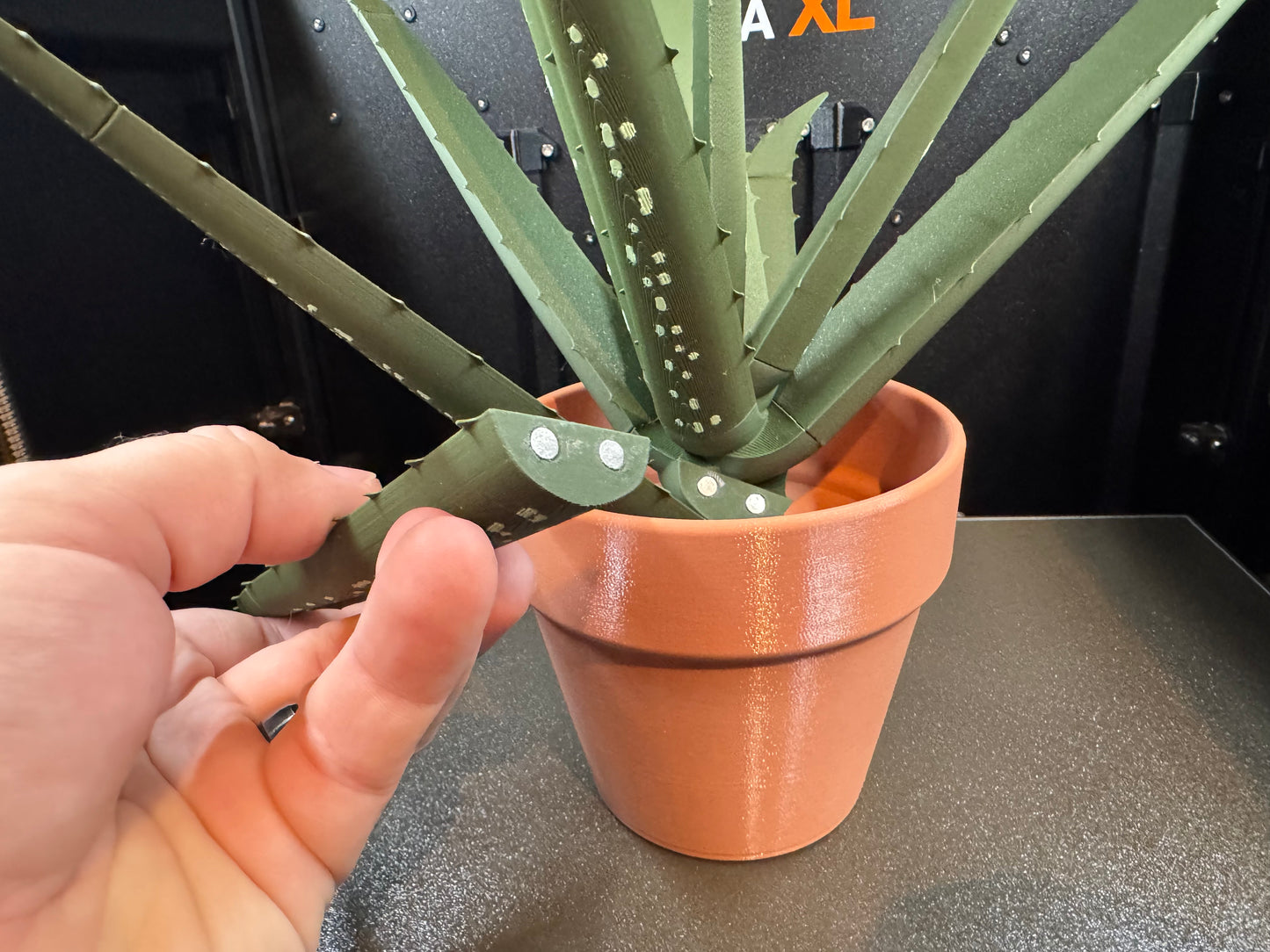 aloe vera plante stell Aloe Vera Pen Plant – 3D Nick Knacks