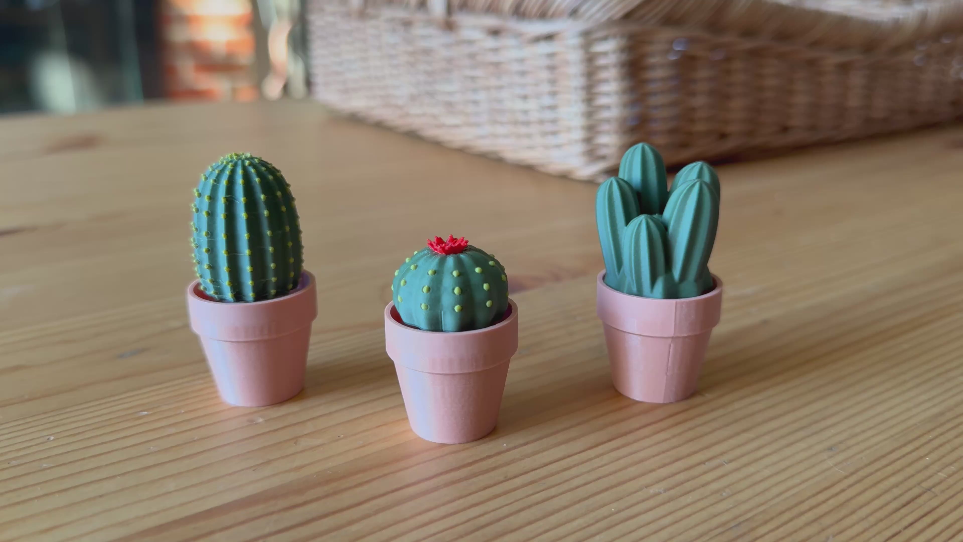 Clicky Torch Cactus – 3D Nick Knacks